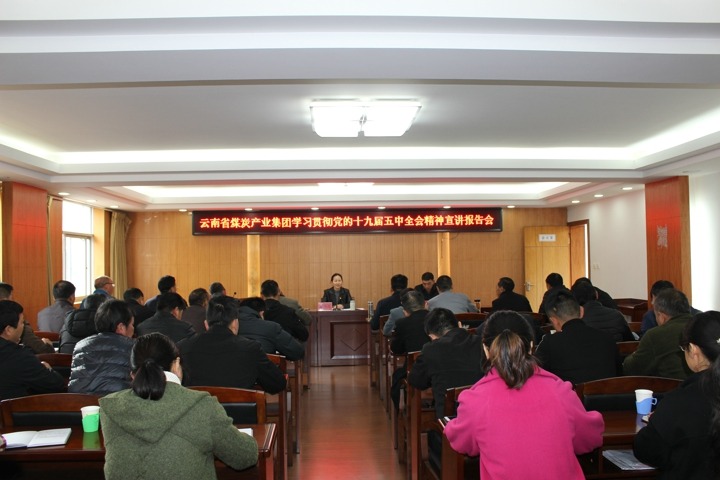 集团党委委员、财务总监莫晓丹到羊场煤矿宣讲党的十九届五中全会精神