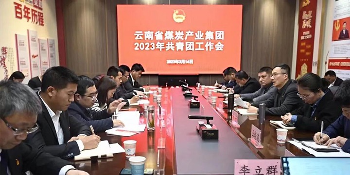 龙8头号玩家(国际)官方网站集团团委召开2023年工作会暨企业文化宣贯会