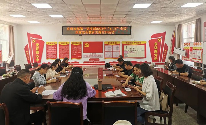 龙8头号玩家(国际)官方网站（煤化）集团组织开展“4·15全民国家安全教育日”普法宣传系列活动