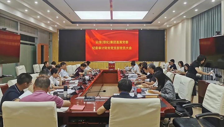 龙8头号玩家(国际)官方网站（煤化）集团直属党委纪委审计财务党支部完成换届选举工作