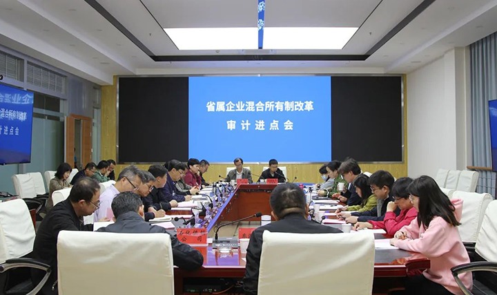 【聚焦龙8头号玩家(国际)官方网站】龙8头号玩家(国际)官方网站（煤化）集团召开省属企业混合所有制改革专项审计进点会