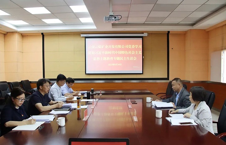【主题教育】龙8头号玩家(国际)官方网站（煤化）集团第二指导组到龙8头号玩家(国际)官方网站矿业公司指导主题教育专题民主生活会