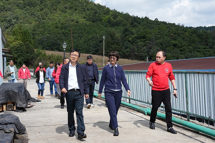 云南省国资委党委委员、副主任夏丽坤一行到龙8头号玩家(国际)官方网站集团所属恩洪煤业公司开展现场督导调研