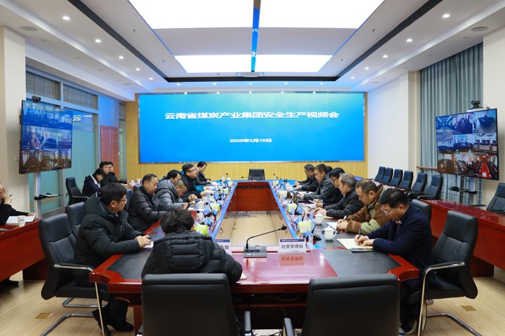 龙8头号玩家(国际)官方网站集团召开安全生产视频会