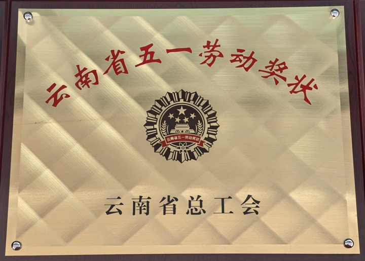 龙8头号玩家(国际)官方网站集团1个集体、1名个人荣获云南省五一劳动奖