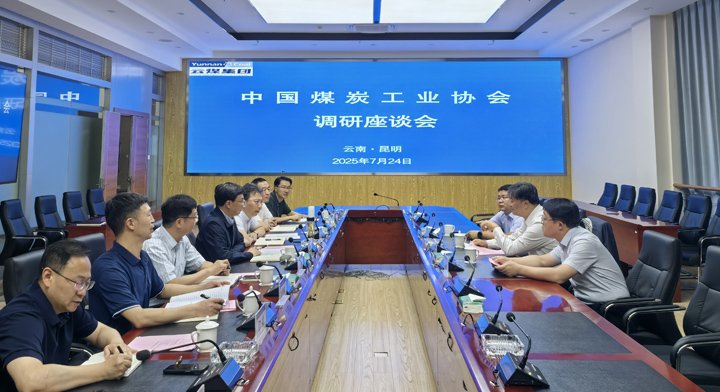 中国煤炭工业协会到龙8头号玩家(国际)官方网站集团调研