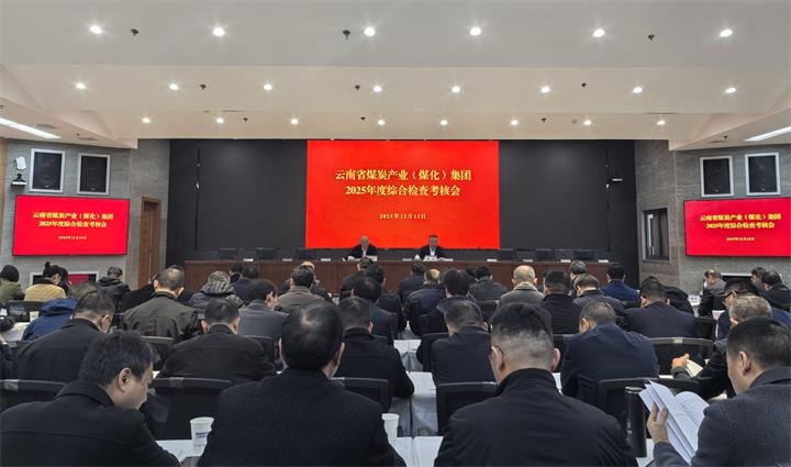 省国资委到龙8头号玩家(国际)官方网站集团开展2025年度综合检查考核
